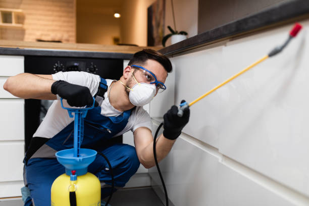 Best Termite Control Services  in Yermo, CA