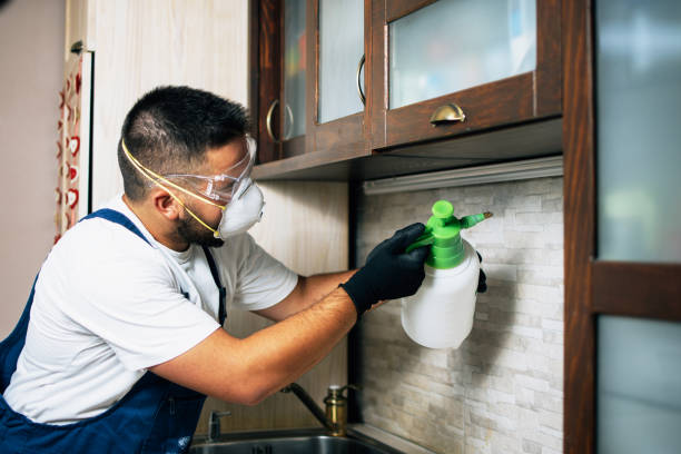 Best Pest Control Near Me  in Yermo, CA